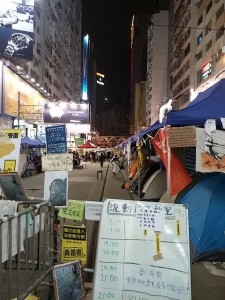 こんな感じで道路がふさがってます。