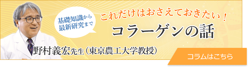 基礎知識から最新研究まで 野村義宏先生（東京農工大学教授）の これだけはおさえておきたい！コラーゲンの話