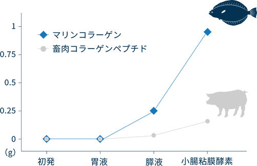 グラフ