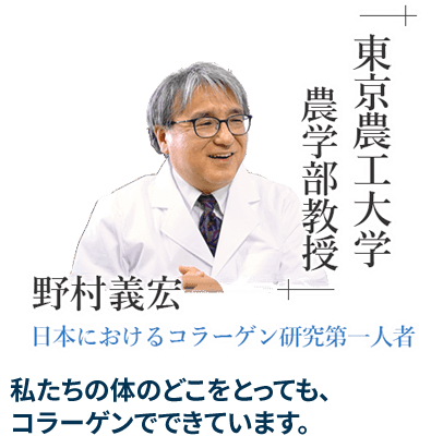 「東京農工大学 農学部教授」野村 義宏 - 日本におけるコラーゲン研究第一人者