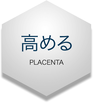 高める PLACENTA